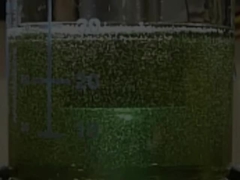 Procesador de Cavitación Sonoquímica Ultrasónica de Alta Amplitud de Frecuencia 1200w